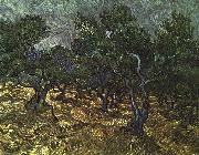 Vincent Van Gogh The Olive Grove USA oil painting artist